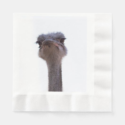 Strauß Serviette (Vorderseite)