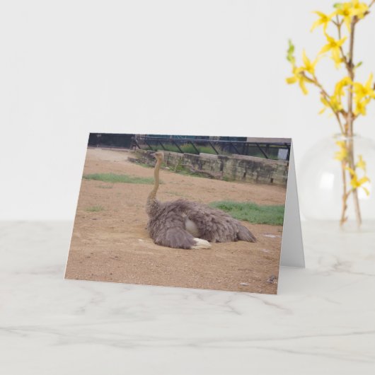 "Strauß sitzen" Danke Karte (Gelbe Blume)