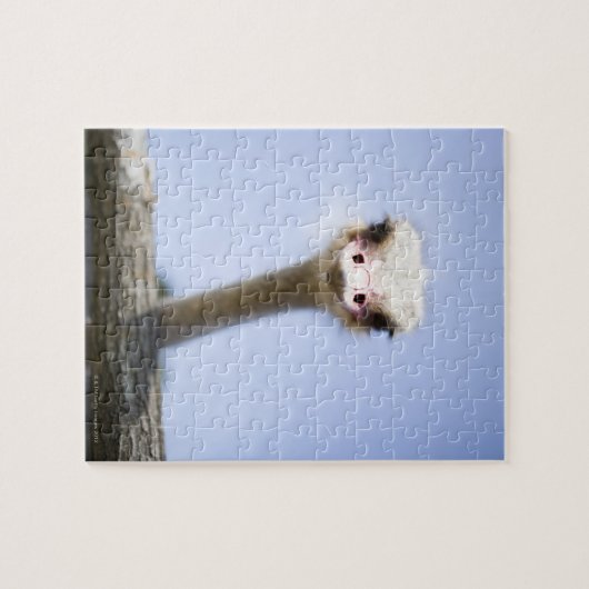 Strauß sprechen puzzle (Horizontal)