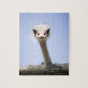 Strauß sprechen puzzle
