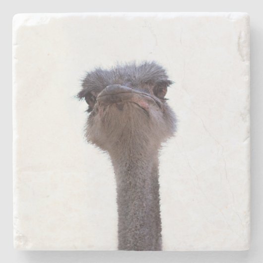 Strauß Steinuntersetzer (Vorderseite)