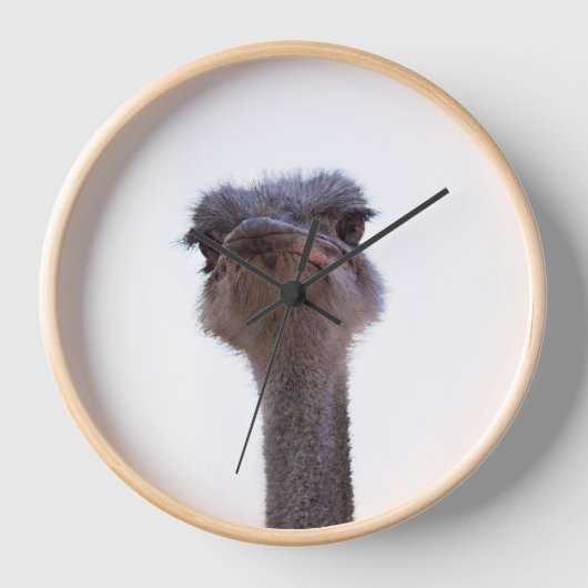 Strauß Uhr (Vorderseite)