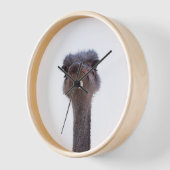 Strauß Uhr (Winkel)