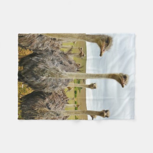 Strauß-Vogel Fleecedecke (Vorderseite (Horizontal))