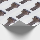 Strauß Vogel Geschenkpapier (Ecke)