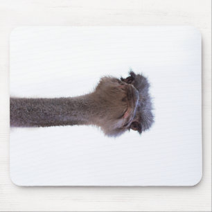 Strauß Vogel Mousepad