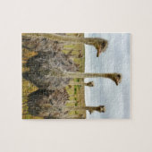 Strauß-Vogel Puzzle (Horizontal)