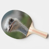 Strauß-Vogel Tischtennis Schläger (Seitenansicht)