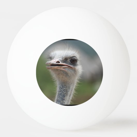 Strauß-Vogel Tischtennisball (Vorderseite)