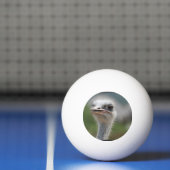 Strauß-Vogel Tischtennisball (Netto)