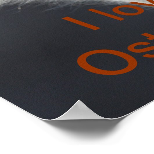 Strauße Poster (Ecke)