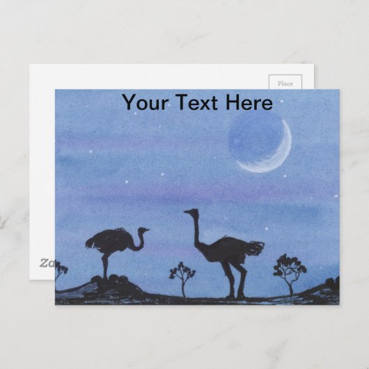 Strauße Postkarte (Vorne/Hinten)