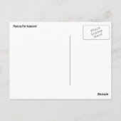 Strauße sehen Postkarte aus (Rückseite)