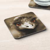 Strauße sehen Untersetzer aus (Linke Seite)