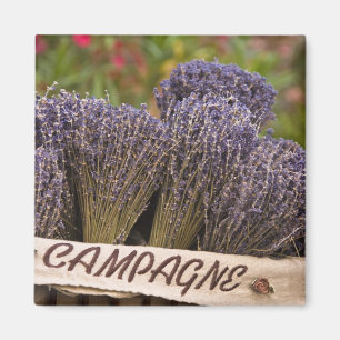 Sträuße von Lavendel zum Verkauf, Vence, Provence, Magnet
