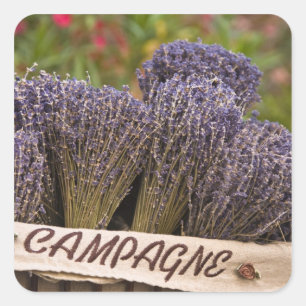 Sträuße von Lavendel zum Verkauf, Vence, Provence, Quadratischer Aufkleber