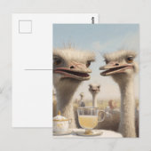 Straußen-Teatime Postkarte (Vorne/Hinten)