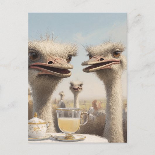 Straußen-Teatime Postkarte (Vorderseite)