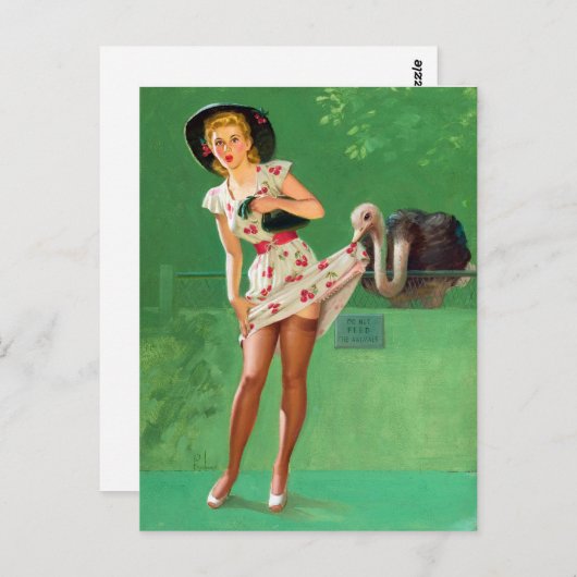 StraußenButton nach oben Postkarte (Vorne/Hinten)