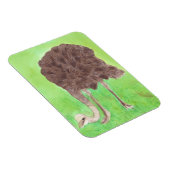 Straußenessen, Wasserfarblackmagnete Magnet (Rechte Seite)