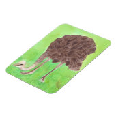 Straußenessen, Wasserfarblackmagnete Magnet (Linke Seite)