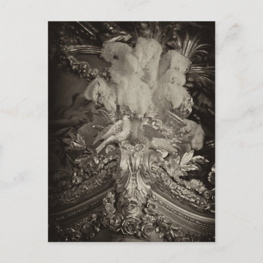 Straußenfedern, Marie Antoinette's Bett. Postkarte (Vorderseite)