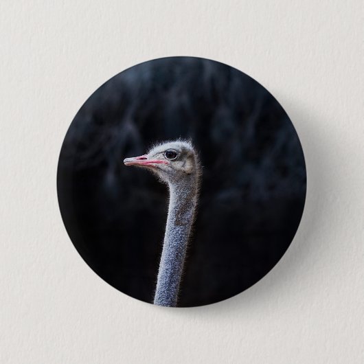 Straußenfotografie Button (Vorderseite)