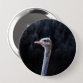 Straußenfotografie Button (Vorne & Hinten)