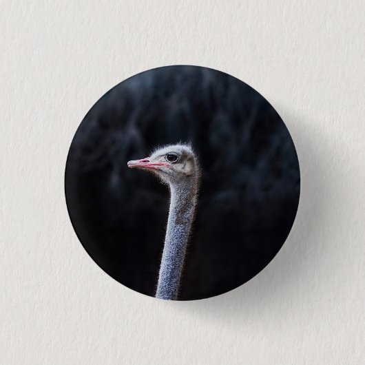Straußenfotografie Button (Vorderseite)