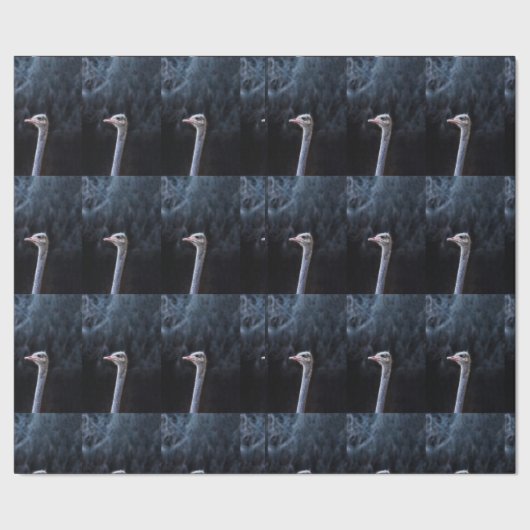Straußenfotografie Geschenkpapier (Saum)