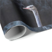 Straußenfotografie Geschenkpapier (Rolleneckpunkt)