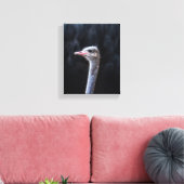Straußenfotografie Leinwanddruck (Insitu (Wohnzimmer))