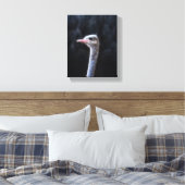 Straußenfotografie Leinwanddruck (Insitu (Schlafzimmer))