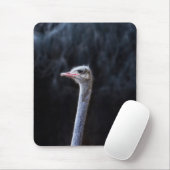 Straußenfotografie Mousepad (Mit Mouse)