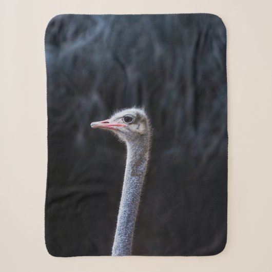 Straußenfotografie Sherpadecke (Vorderseite)