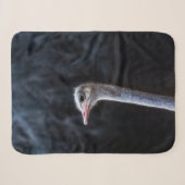Straußenfotografie Sherpadecke (Vorderseite (Horizontal))