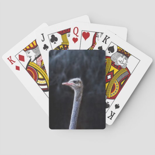 Straußenfotografie Spielkarten (Rückseite)
