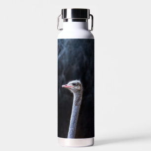 Straußenfotografie Trinkflasche