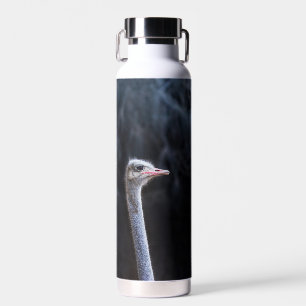 Straußenfotografie Trinkflasche
