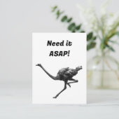 Straußenmatte Sketch, Coole Vogelkunst Postkarte (Stehend Vorderseite)