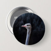 Straußenportrait Button (Vorne & Hinten)