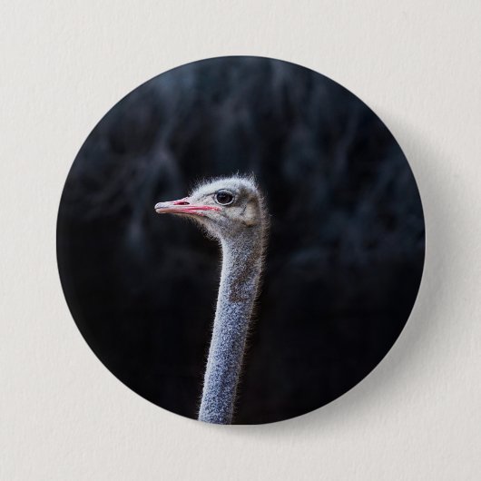 Straußenportrait Button (Vorderseite)