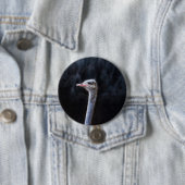 Straußenportrait Button (Beispiel)