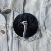 Straußenportrait Button (Beispiel)