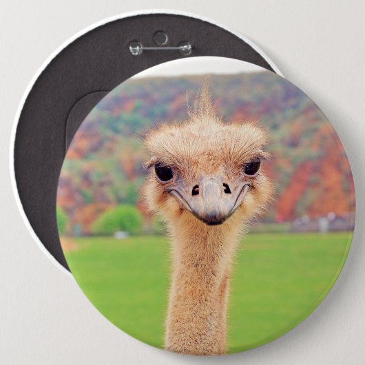 Straußenportrait Button (Vorne & Hinten)