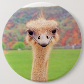 Straußenportrait Button (Vorderseite)
