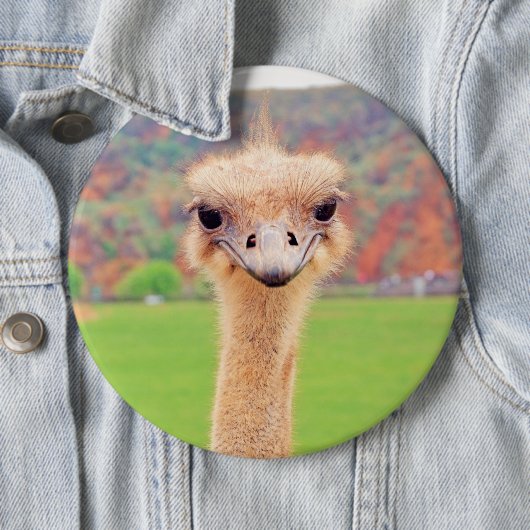 Straußenportrait Button (Beispiel)