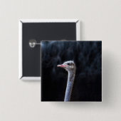 Straußenportrait Button (Vorne & Hinten)