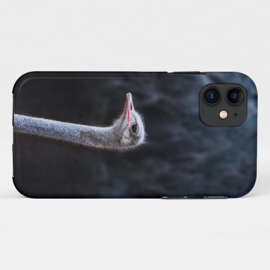 Straußenportrait Case-Mate iPhone Hülle (Rückseite (Horizontal))