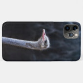 Straußenportrait Case-Mate iPhone Hülle (Rückseite (Horizontal))